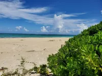 Coral Turtle Hotels in Duncans