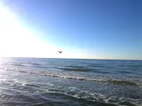 Ferienwohnung in Zierow Nahe Meeresstrand - Parking