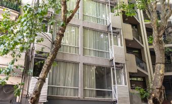 Tpyn Recoleta