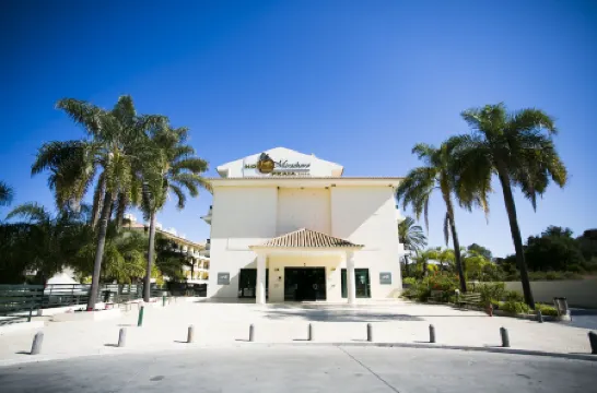 卡武埃魯米拉喬洛