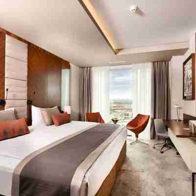 Ankara Alegria Business Hotel Rooms