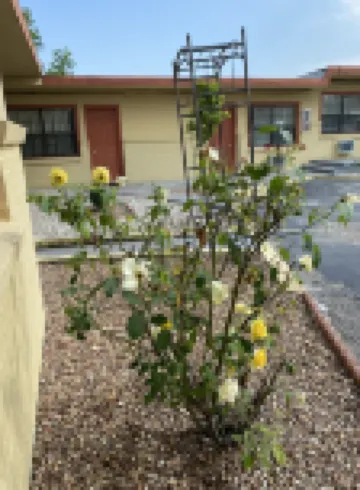 Madill Inn
