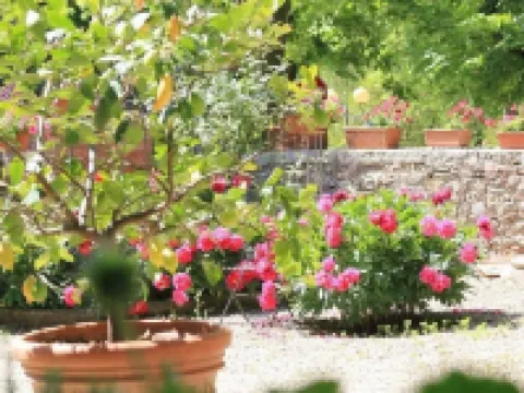 Residenza d'Epoca Il Cassero Hoteles en Lucignano