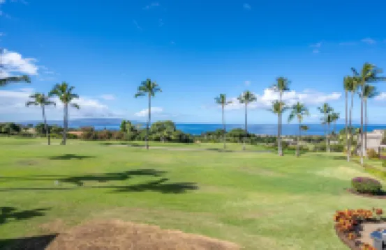 Luxurious Wailea Ocean Vistas
