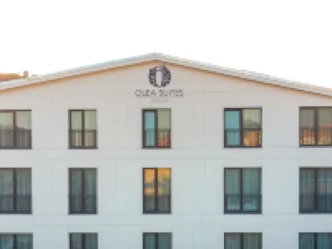 Olea Suites Otel Hotels in Gemlik