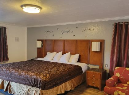 마그누손 세다르 시티