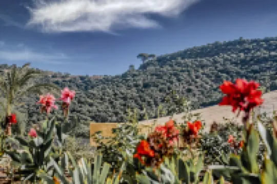 CORBELLA HOTEL Hoteles en Almodóvar del Río