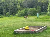 Moose Twin Cabins.