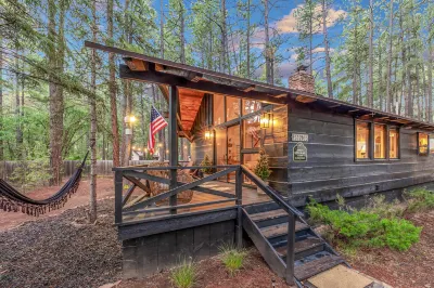 Designer cabin in the woods with enclosed yard, fireplace, hammock, fast WiFi