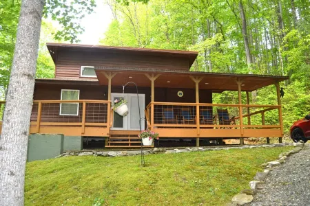 Locust Flats -  Pet-Friendly Mountain  Cabin =  Decks-Views-Firepit