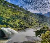 The Spotted Dove Homestay