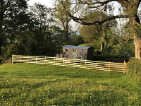The Peacock Shepherds Hut at Hafoty Boeth Hotels in Corwen