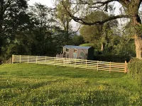 The Peacock Shepherds Hut at Hafoty Boeth Hotels in Gwyddelwern