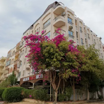 Golden Rose Hotel Hotels near Sherry.St.