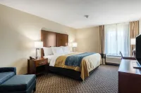 Comfort Inn Edwardsville - St Louis Hotels in Edwardsville