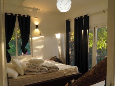 Tree Nature Resort