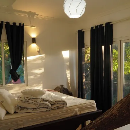 Tree Nature Resort