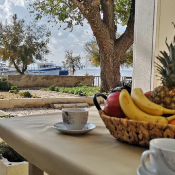 Apartments Roko