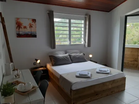 Villa Clémence Отели в г. Ле Франсуа