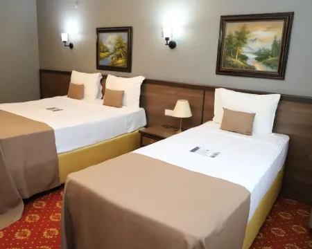 ヒゼル ホテル デュズジェのホテル