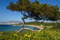 Secret Aktis by BluPine Hotels in Vouliagmeni