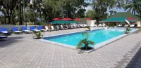 Metzy Residence Hotel - Pools