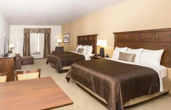 瓦特福市泰迪住宿套房酒店