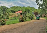 Blue Turtle Hotel Hotels near Manik Stupa
