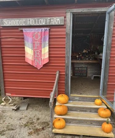 Welcoming 4 bed Loft on Organic Farm--Near MDI & Wilderness