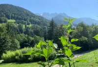 Spacious Swiss Alpine Chalet for Nature Lovers