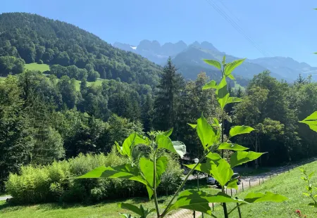Spacious Swiss Alpine Chalet for Nature Lovers Отели в г. Валь-д'Илье