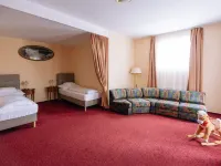 Pannonia Hotel Hotele w: Sopron