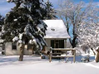 The Pines of Dresden - Homestay