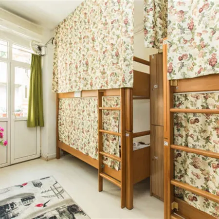 Taksim Hostel Green House Istanbul