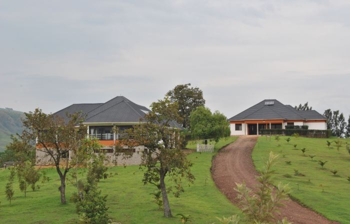 The Crested Crane Bwindi Hotel