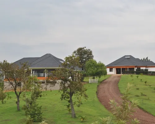 The Crested Crane Bwindi Hotel Hotels in Kinkiizi