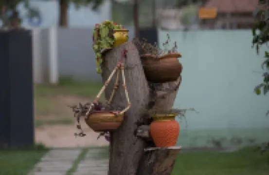 Travellers Palm Court