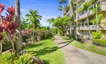 Maui Banyan Vacation Club