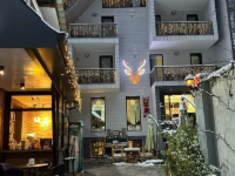 Borjomi UnderWood Hotels in Borjomi