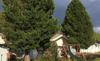 Arctic Resort Delight