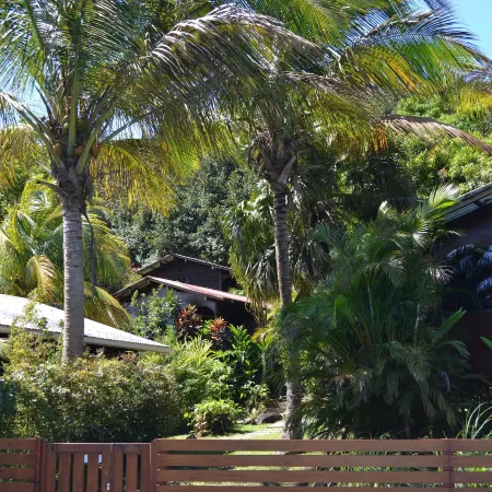 Piton Bungalows Ecolodges