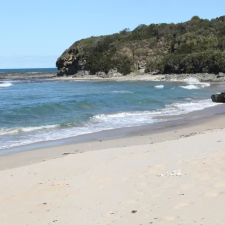Points South by the Sea