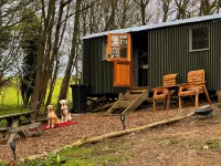 Holt Woodland Glamping - Shepherd Huts & Yurts Dog Friendly - 2-Star