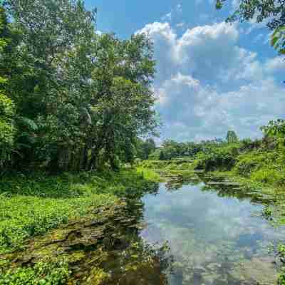 King Jungle Walk Safari & Home Stay Others