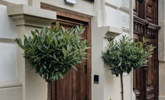 Millou LoftAffair Collection