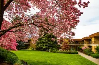 Mirabeau Park Hotel Hôtels à : Spokane Valley