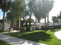 Yadis Hammamet