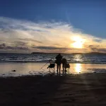 Dunbrody Country House Hotel - Beach