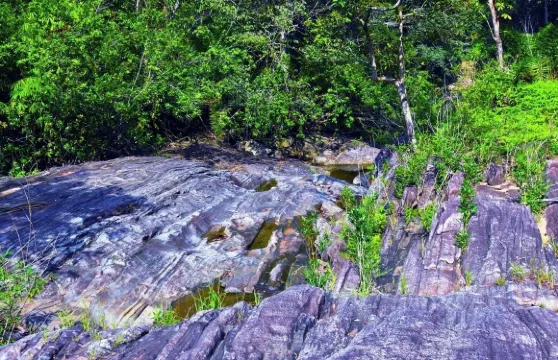 馬克利亞叢林及瀑布之旅