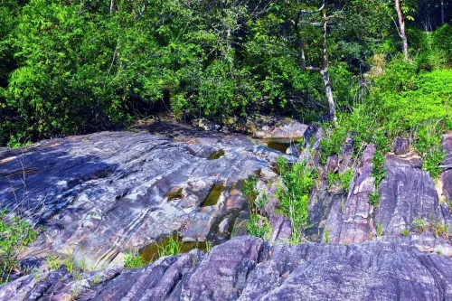 Makeliya Jungle & Waterfall Tour Các khách sạn ở Kalutara